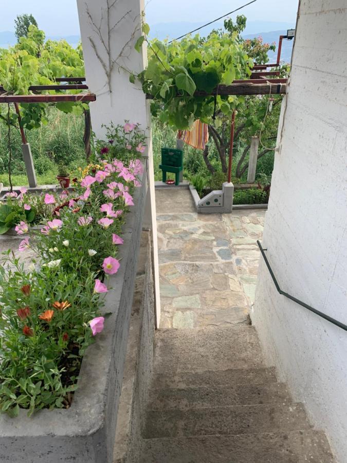 Η Θεα Traditional House 马克里尼撒 外观 照片